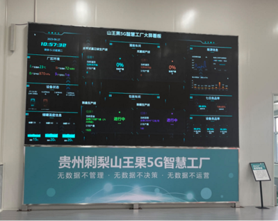 走進(jìn)貴定山王果 開在大山里的數(shù)實(shí)融合之花